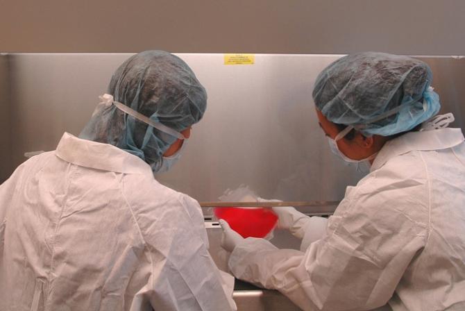 Researchers at work in a lab
