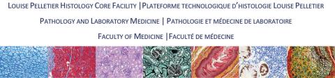 Louise Pelletier Histology Core Facility - Pathology and Laboratory Medicine - Faculty of Medicine