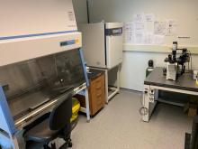 Instrumentation setup in a lab, including a cell culture hood.