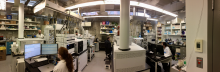 Aperçu panoramique des membres de l'équipe au travail dans un laboratoire.