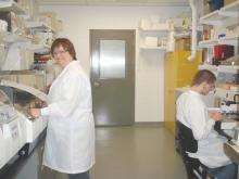 Des chercheurs travaillent dans le laboratoire