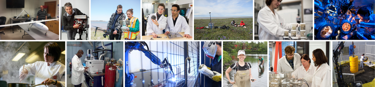 Collection of 13 images featuring research-in-action in labs and in the field