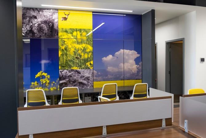 Reception area with yellow and black chairs, and wall of images of nature and bees.