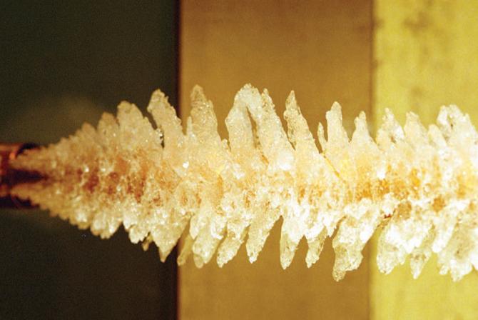 Gros plan sur des cristaux de glace formés selon un motif répétitif ressemblant à une queue de homard