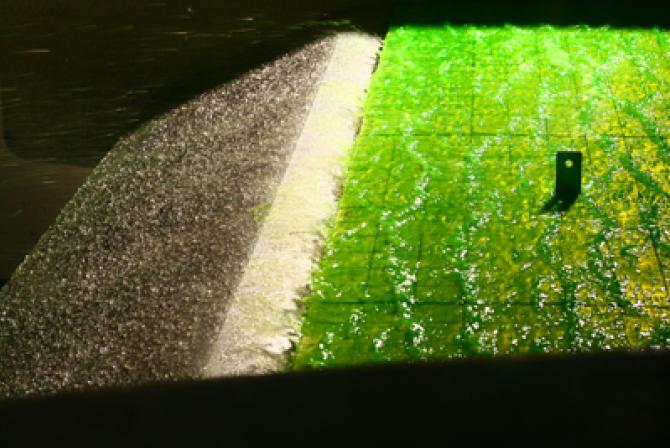 Clear and green liquids on an airplane wing