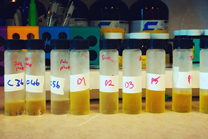 Row of labeled samples