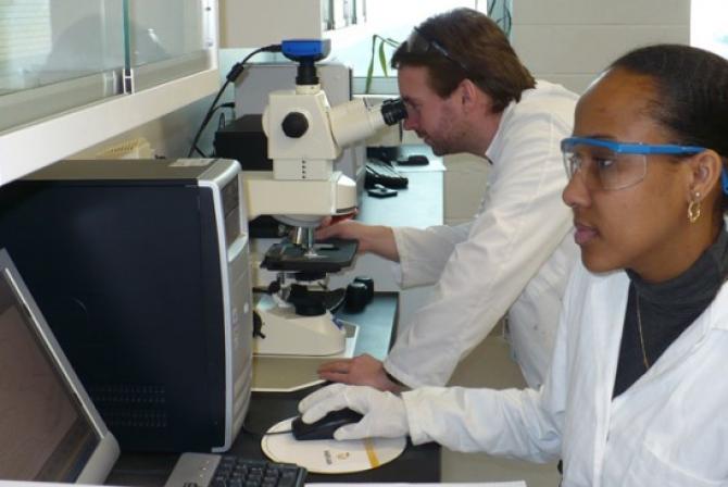 Des chercheurs travaillent dans un laboratoire