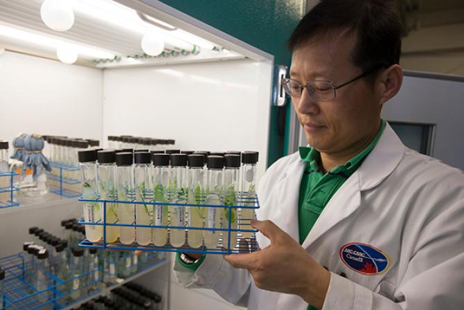 Researcher holding a tray of test tubes containing microalgae specimens