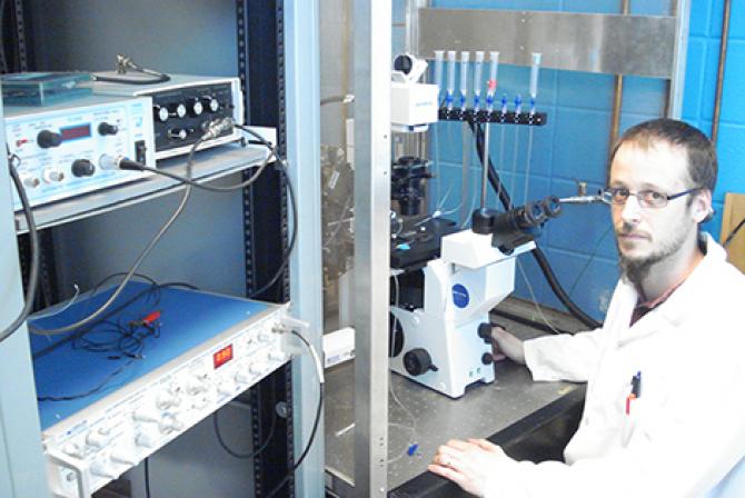 Researcher at work in a lab