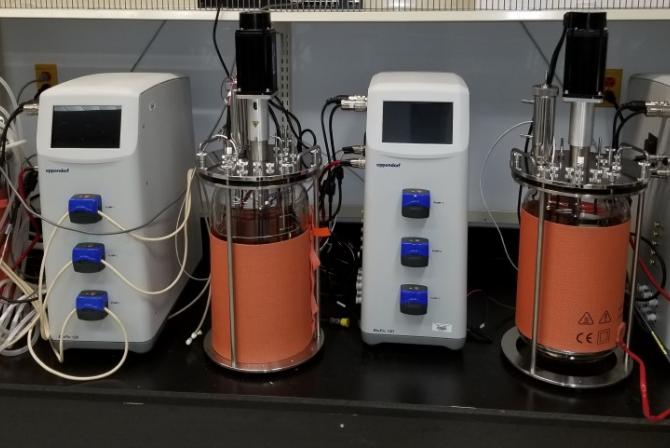 Three cylindrical bioreactors connected to instrumentation.