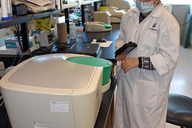 Researcher operates equipment in a lab