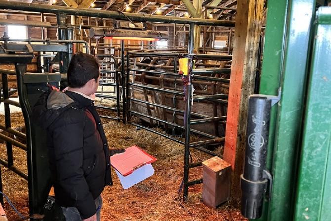 Person stands in a barn holding a notepad while looking at livestock.