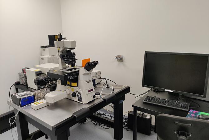 Research infrastructure: Nikon Ti microscope and Photometrics Prime BSI camera.