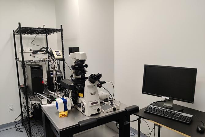 Research infrastructure: Nikon Ti Epifluorescence microscope with Photometrics Evolve 512 camera.