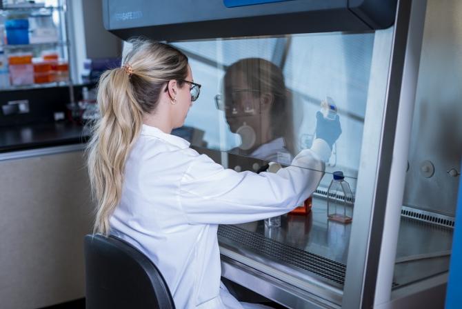 Une personne portant de l'équipement de protection manipule des échantillons dans un cabinet de sécurité biologique.