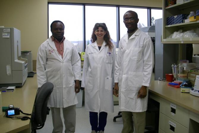 Researchers in the laboratory
