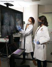 Des chercheurs regardent des images de poumons sur un grand écran