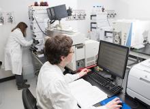 Researchers at work at the facility