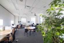 With a tall leafy plant at the forefront, several workstations line the perimeter of a room, surrounding a round meeting table with four chairs.
