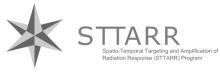 STTARR-Spatio-Temporal Targeting and Amplification of Radiation Response Program