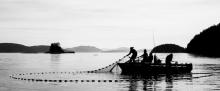 Quatre personnes dans un petit bateau récupèrent un filet de pêche de l'eau.