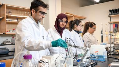 Quatre étudiants travaillent avec du matériel dans un laboratoire.